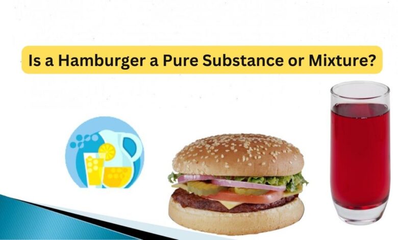 Is a Hamburger a Pure Substance or Mixture?