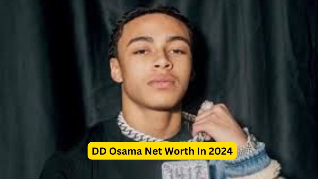 dd-osama-net-worth-in-2024