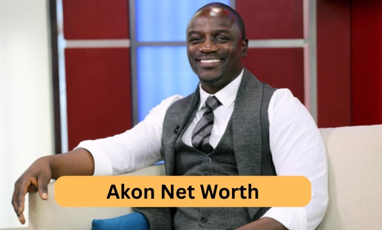 Akon Net Worth