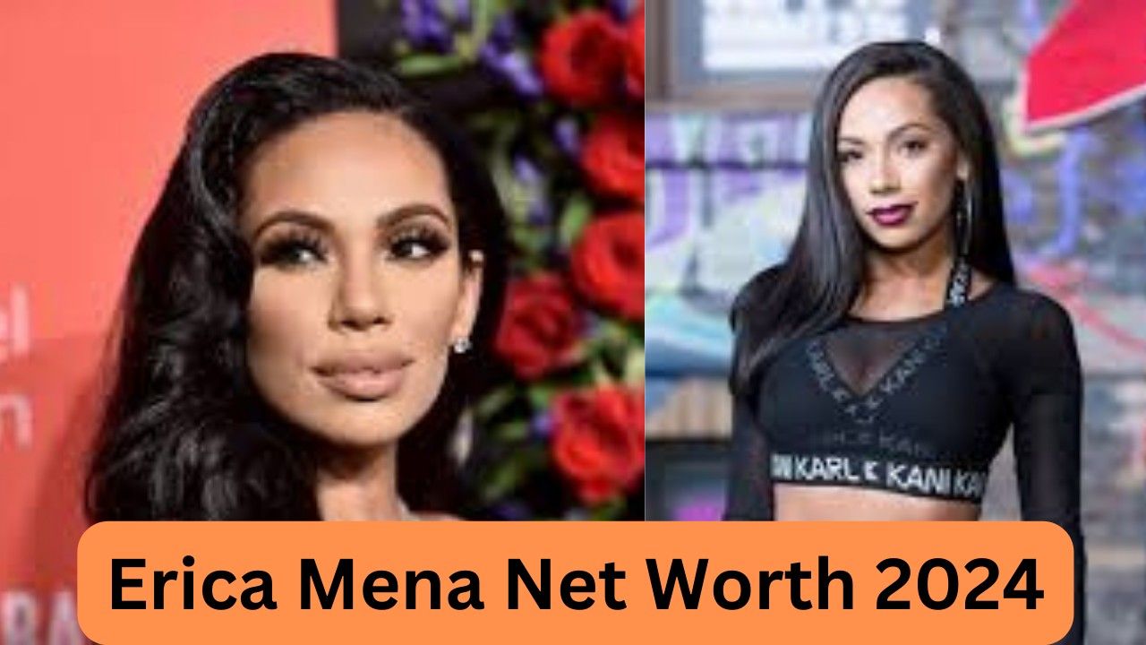 Erica Mena Net Worth 2024