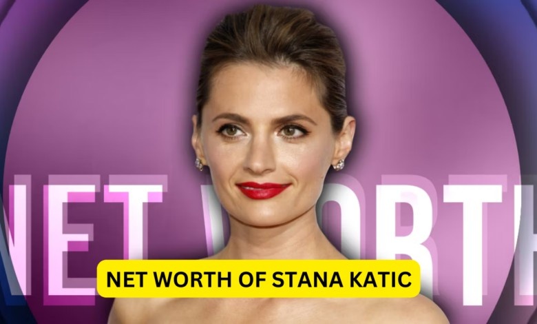 Net Worth of Stana Katic