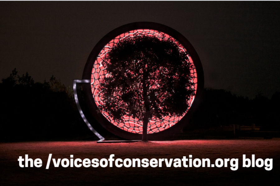 Insights From Voicesofconservation.org Blog: All You Need to Know