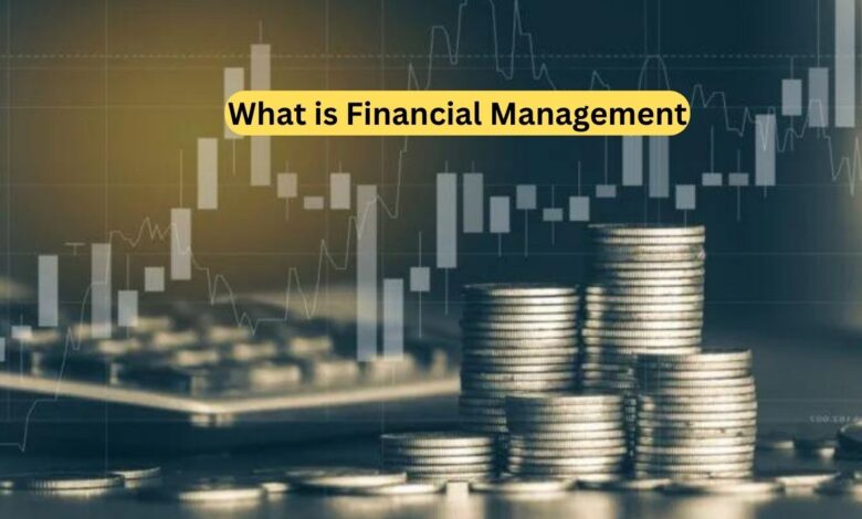 What is Financial Management